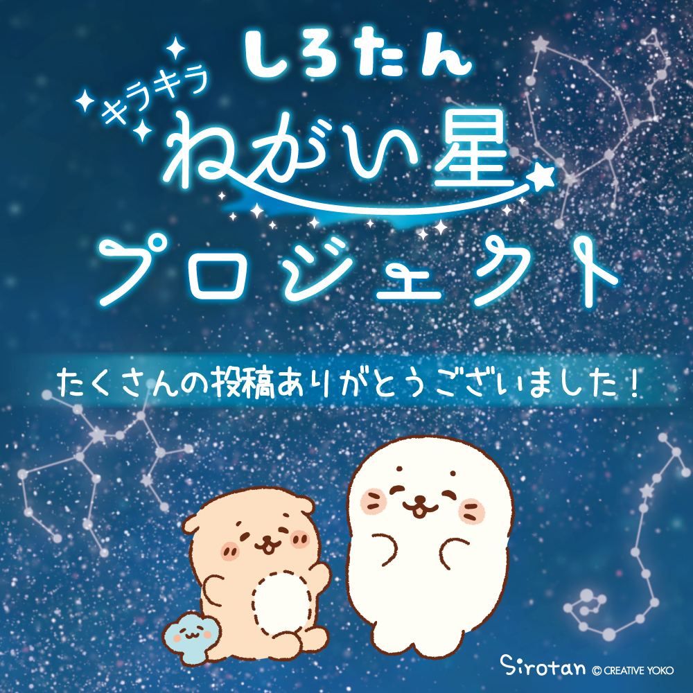 しろたんキラキラねがい星プロジェクト【エピローグ】 - しろたん 公式サイト / SIROTAN Official site | クリエイティブヨーコ