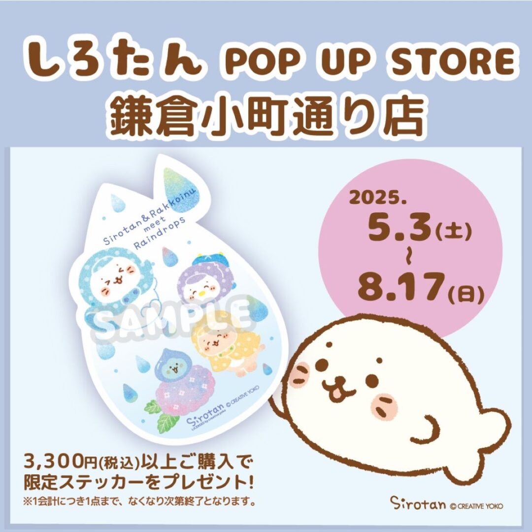 トピックス - しろたん 公式サイト / SIROTAN Official site | クリエイティブヨーコ